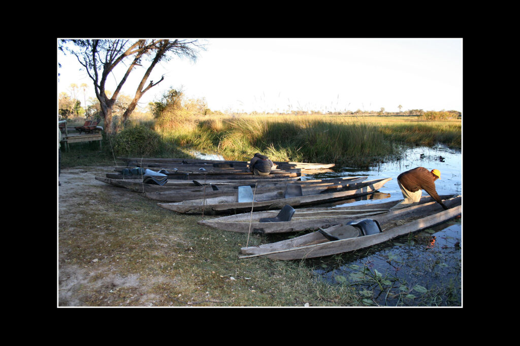Mokoros, Oddballs Camp, Okawango Delta, Botswana